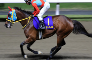 スパーキングレディーカップの有力馬：ネバーモア
