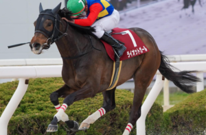 スパーキングレディーカップの穴馬：ライオットガール