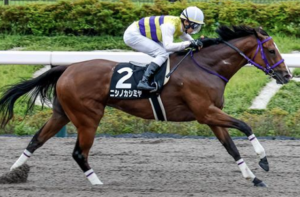 スパーキングレディーカップの穴馬：ニシノカシミヤ