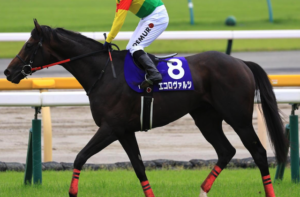 中京記念のビビットAIが選んだ有力馬：エコロヴァルツ