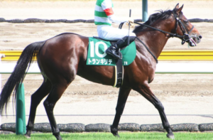 中京記念のビビットAIが選んだ穴馬：トランキリテ