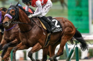 アイビスSD　ビビットAIｆが選んだ穴馬⑯カルロヴェローチェ