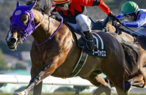 アイビスSD　ビビットAIｆが選んだ穴馬⑮ブーケファロス