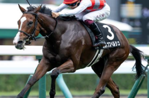 キーンランドカップ2025の有力馬⑯カルプスペルシュ