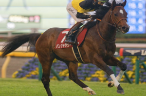 キーンランドカップ2025の有力馬⑤パンジャタワー