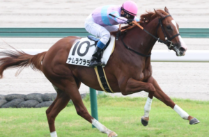 キーンランドカップ2025の穴馬⑮ナムラクララ