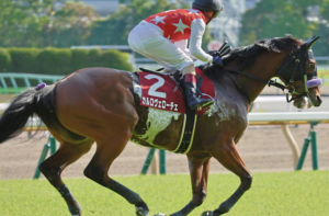 キーンランドカップ2025の穴馬⑭カルロヴェローチェ