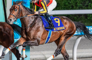 レパードステークス2025　ビビットAIが選んだ有力馬：ジャナドリア