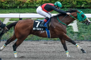 レパードステークス2025　ビビットAIが選んだ穴馬：ポールセン