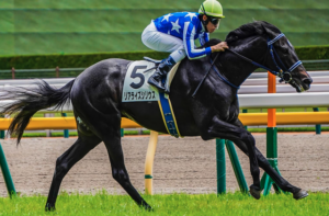 新潟2歳ステークスのビビットAIが選んだ有力馬⑨リアライズシリウス