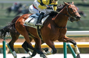 新潟2歳ステークスのビビットAIが選んだ有力馬⑦サノノグレーター