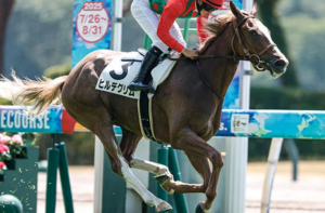 新潟2歳ステークスのビビットAIが選んだ穴馬⑤ヒルデグリム