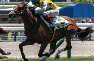新潟2歳ステークスのビビットAIが選んだ穴馬①メーゼ