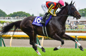新潟記念2025の有力馬　クイーンズウォーク