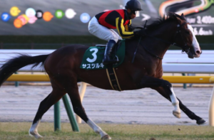 新潟記念2025の穴馬　サスツルギ