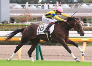 クイーンステークスのAI予想 穴馬 ビヨンドザヴァレー