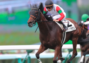 クイーンステークスのAI予想 穴馬 ココナッツブラウン