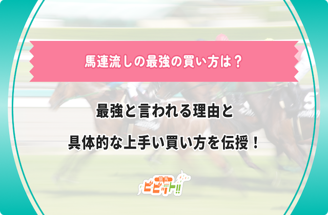 馬連流しの最強の買い方のサムネイル