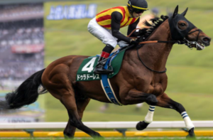 オールカマー2025　ビビットAIが選んだ有力馬：ドゥラドーレス