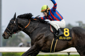 セントウルステークス2025のビビットAIが選んだ穴馬：ヨシノイースター