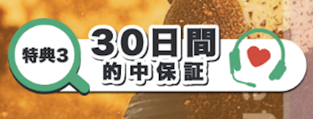 アールサンニーの特徴②30日間的中保証！？