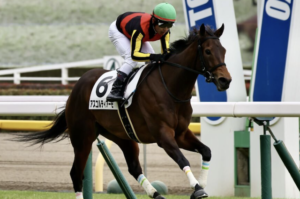 京成杯オータムハンデの穴馬 アスコルティアーモ