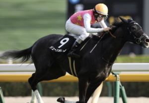 京成杯オータムハンデの穴馬 ジューンオレンジ
