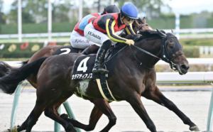京成杯オータムハンデの本命馬 カラマティアノス