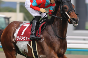 神戸新聞杯2025　ビビットAIが選んだ穴馬：デルアヴァー