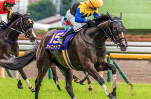 ローズSのビビットAI予想の有力馬：カムニャック