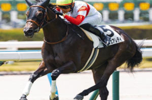紫苑ステークス2025　ビビットAIが選んだ有力馬：ダノンフェアレディ
