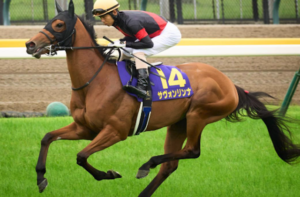 紫苑ステークス2025　ビビットAIが選んだ有力馬：サヴォリンナ
