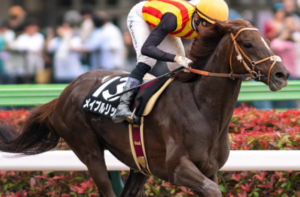 シリウスステークス2025　ビビットAIが選んだ穴馬：⑬メイプルブリッジ