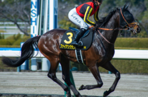 セントライト記念2025のビビットAIが選んだ有力馬：ファイアンクランツ