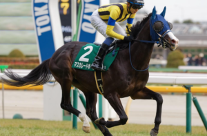 天皇賞(秋)2025 ビビットAIが選んだ有力馬:⑦マスカレードボール