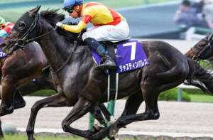 天皇賞（秋）2025　ビビットAIが選んだ穴馬：③ジャスティンパレス