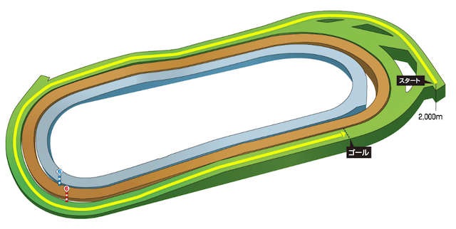 天皇賞(秋)2025のコース 東京競馬場芝2000m
