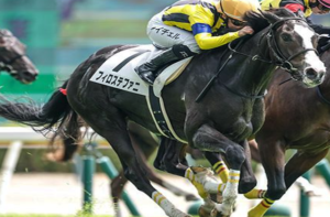 アルテミスステークス2025　ビビットAIが選んだ有力馬⑤フィロステファニ