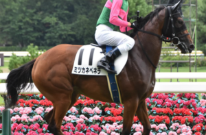 アルテミスステークス2025　ビビットAIが選んだ穴馬⑩ミツカネベエラ