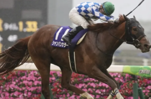 富士ステークスのAI予想　穴馬 シャンパンカラー