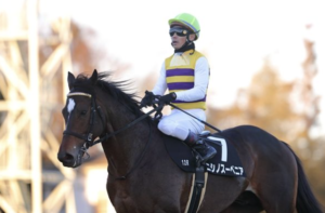 富士ステークスのAI予想　穴馬 ニシノスーベニア
