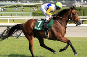 アイルランドトロフィー2025のビビットAIが選んだ有力馬：⑦カナテープ