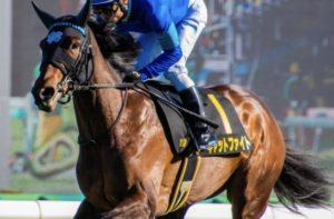 アイルランドトロフィー2025のビビットAIが選んだ穴馬：③キャットファイト