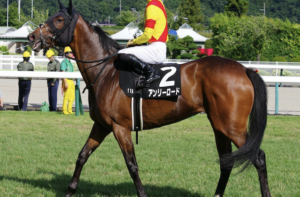 アイルランドトロフィー2025のビビットAIが選んだ穴馬：⑯アンリーロード