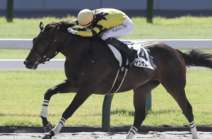 ジャパンダートクラシックのAI予想 穴馬①ドンインザムード