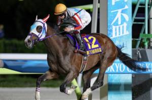 ジャパンダートクラシックのAI予想 有力馬①ナチュラルライズ