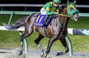 JBCクラシック2025　ビビットAIが選んだ有力馬：⑨ウィルソンテソーロ