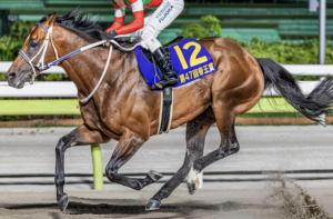 JBCクラシック2025　ビビットAIが選んだ穴馬：⑫キングズソード