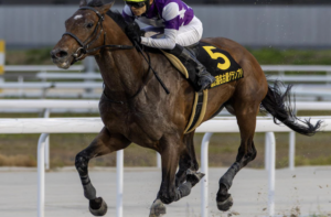 JBCクラシック2025　ビビットAIが選んだ穴馬：⑪サンライズジパング