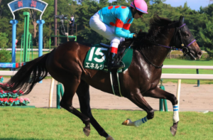 菊花賞2025　ビビットAIが選んだ有力馬⑨エネルジコ